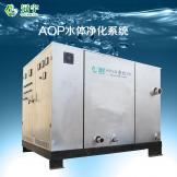 AOP水體凈化系統(tǒng)面