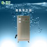 50g空氣型臭氧發(fā)生器