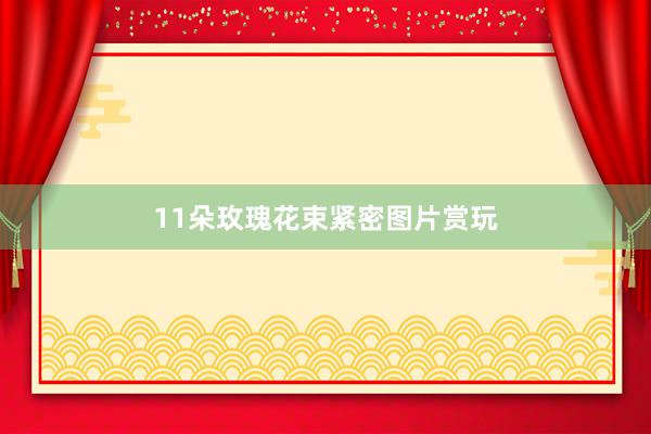 11朵玫瑰花束紧密图片赏玩