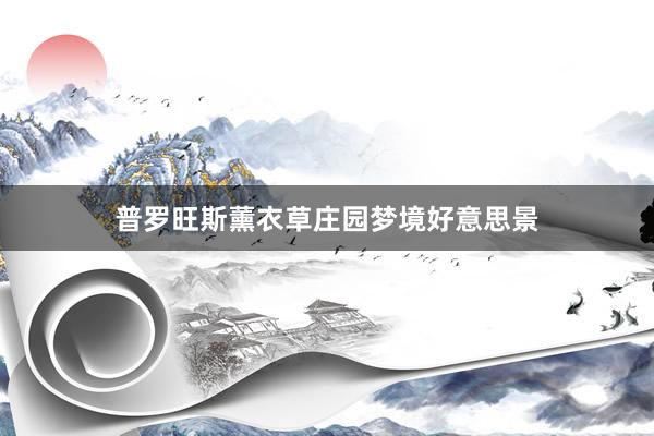 普罗旺斯薰衣草庄园梦境好意思景