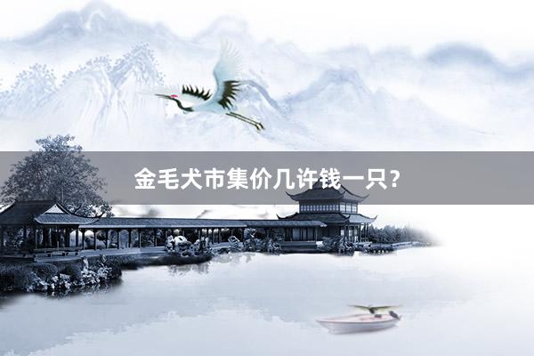 金毛犬市集价几许钱一只？
